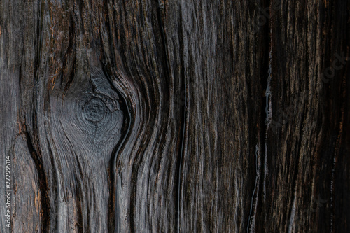 A wet wood line pattern with wood eye that look magical and sacred