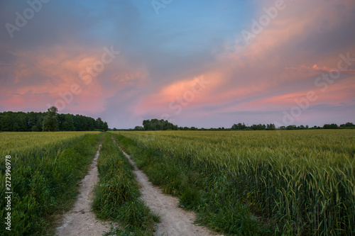 A ground road through green fields  trees on the horizon and colorful clouds on a blue sky