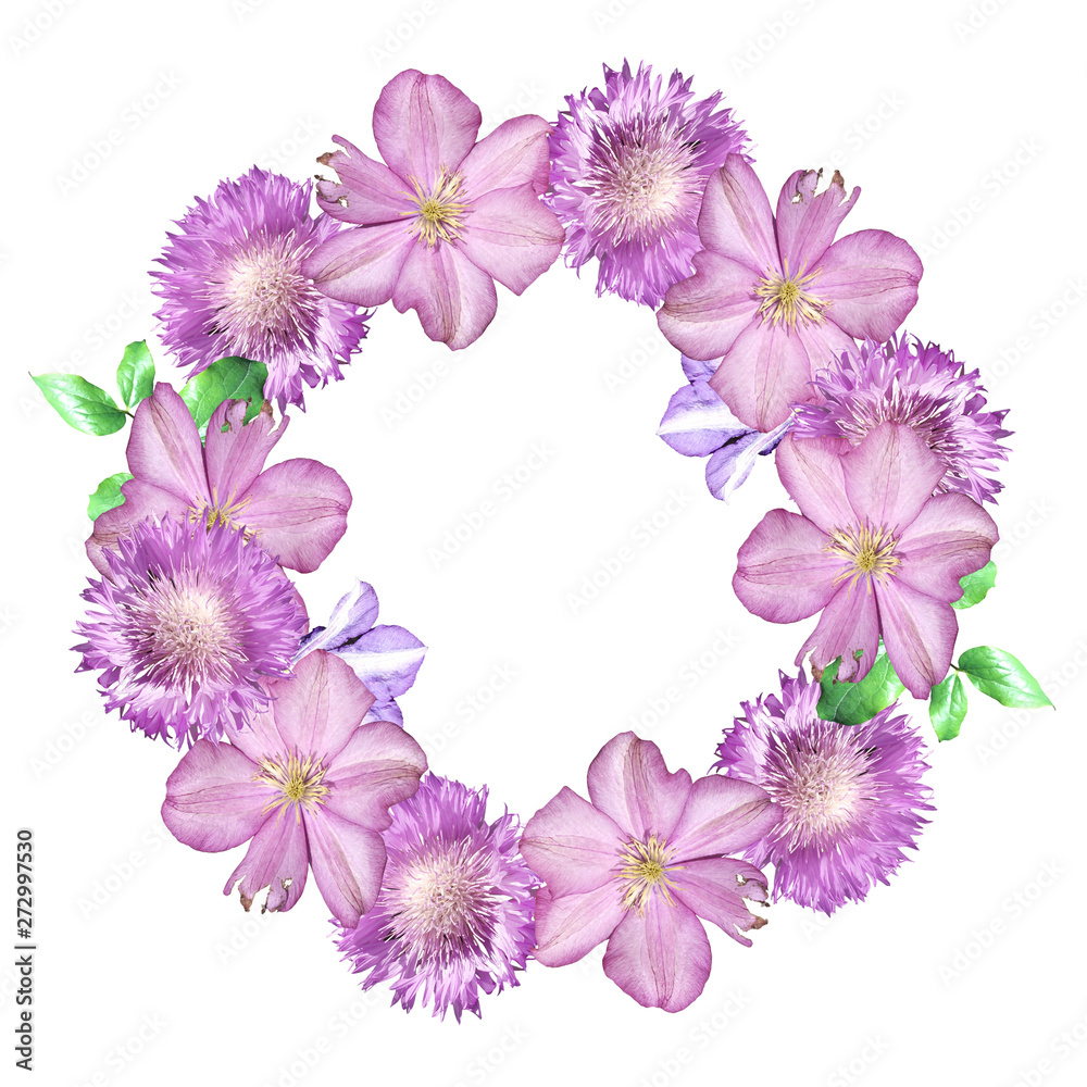 Beautiful floral background of clematis and thistle. Isolated