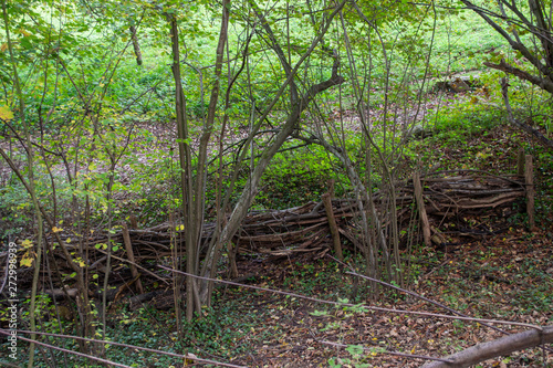 Barrière de branches en sous-bois, clôture naturelle en automne