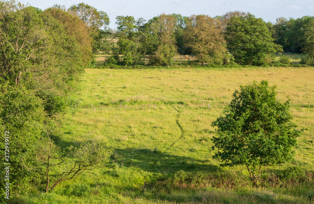 Areal view of a meadow surrounded by treelines in a Dutch nature reserve. Onlanden, Groningen. Areal view of a meadow surrounded by treelines in a Dutch nature reserve. Onlanden, Groningen.