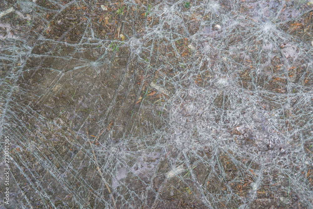 Fototapeta premium Broken in cracks windshield of the Car
