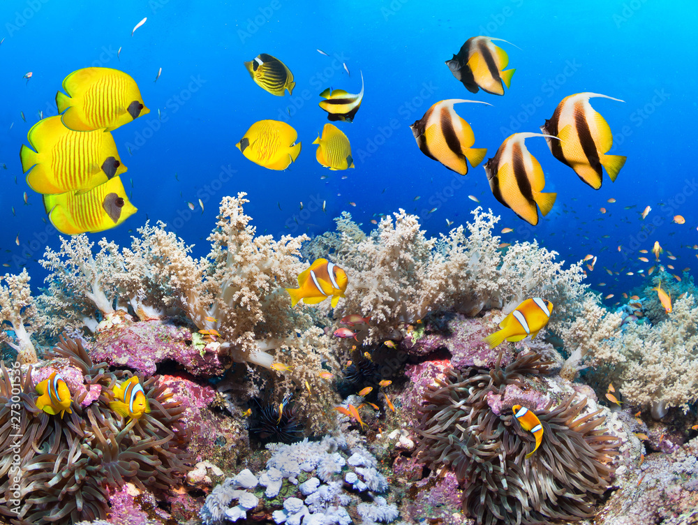 Naklejka premium Underwater coral reef landscape in the deep blue ocean with colorful fish and marine life.