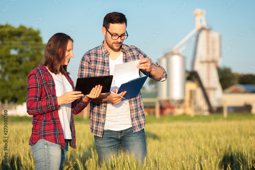 Two young female and male agronomists or farmers inspecting wheat fields before the harvest. Man is filling reports on a clipboard. Organic farming and healthy food production.