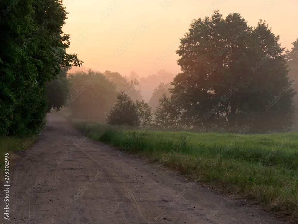 fog over country road at sunrise in summer fog over country road at sunrise in summer