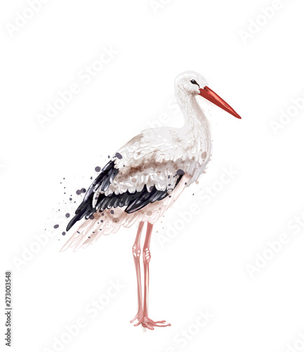 Stork Vector watercolor isolated on white. Icon Painted style illustrations