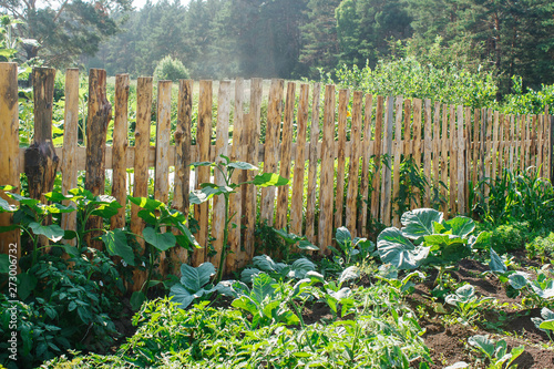 fenced vegetable garden