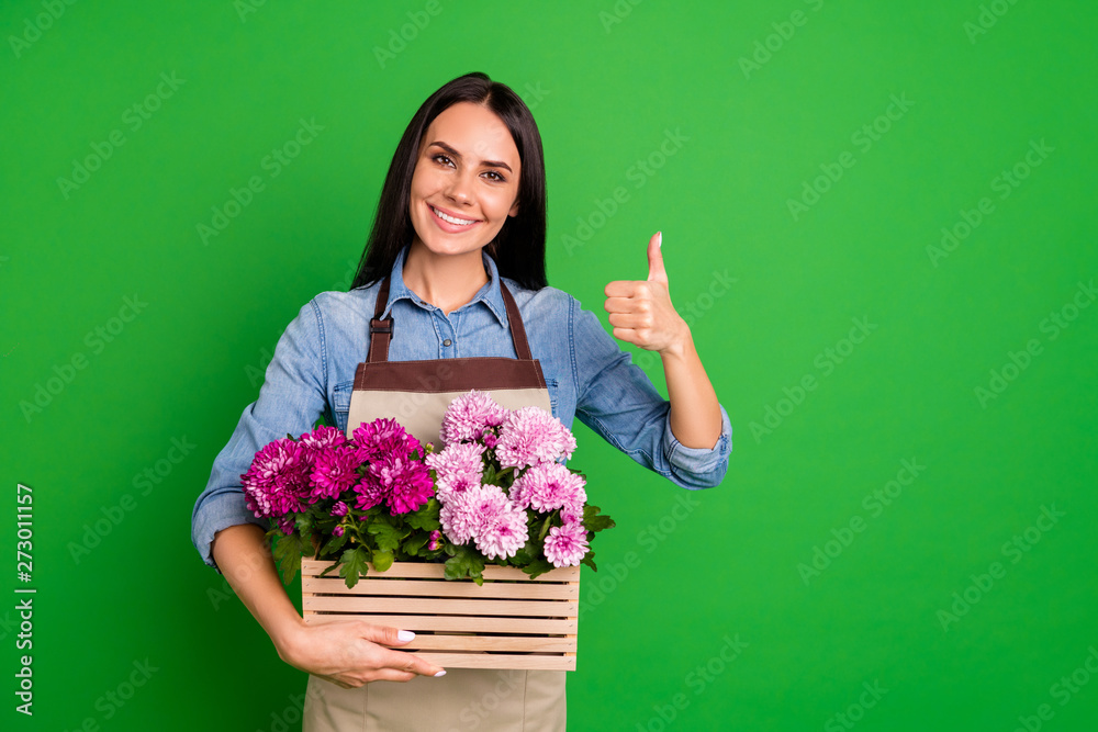 Close up photo beautiful she her lady hand arm hold flowers pot show great quality raise thumb up advising buy buyer customer wear jeans denim shirt covered work apron isolated black grey background Close up photo beautiful she her lady hand arm hold flowers pot show great quality raise thumb up advising buy buyer customer wear jeans denim shirt covered work apron isolated black grey background