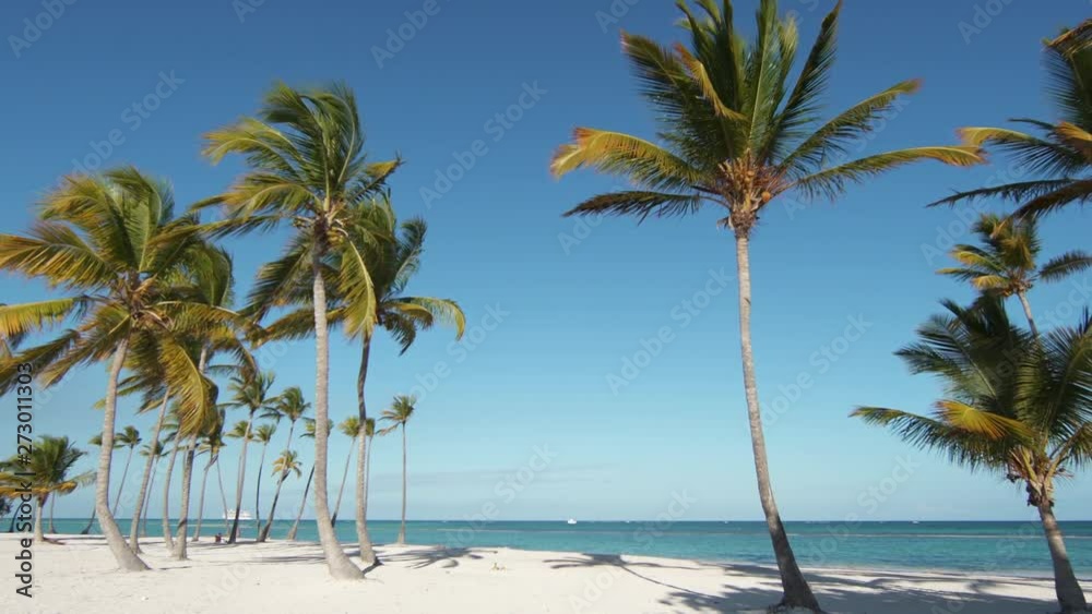 Wild isolated beach with white sand and azure shore. Coconut palms. Blue sky. The best beaches of the planet. Dominican Republic, Punta Cana Wild isolated beach with white sand and azure shore. Coconut palms. Blue sky. The best beaches of the planet. Dominican Republic, Punta Cana