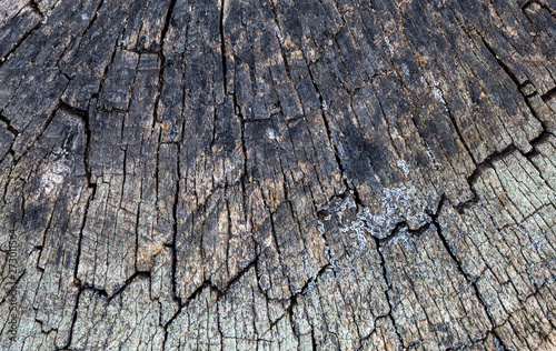 Old Weathered Grayish Cracked Wood Texture