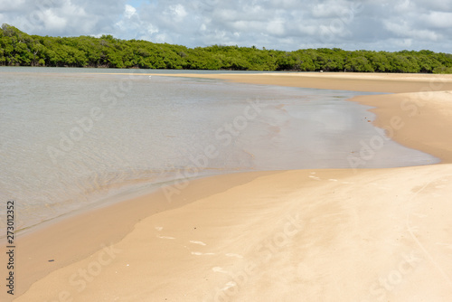 The coast of Sauipe on Bahia  Brazil