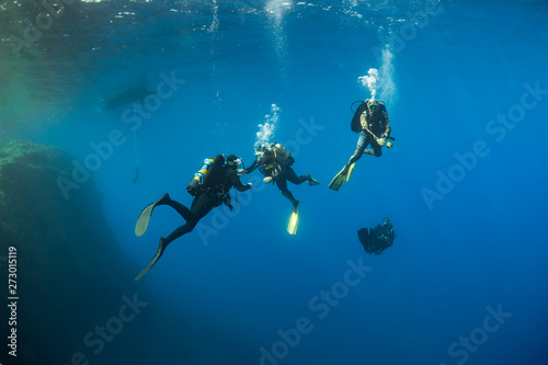 Ocean and scuba diving