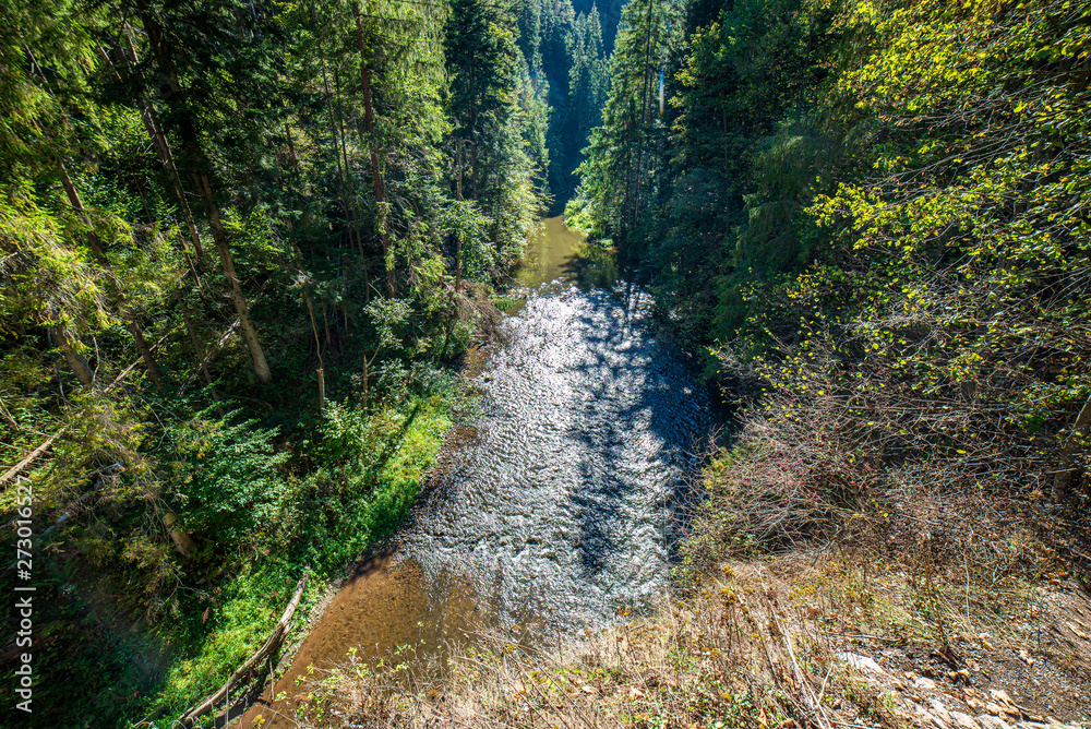 forest river with rocky gulf and waterfalls forest river with rocky gulf and waterfalls