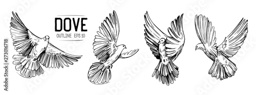 Sketch of a flying dove. Hand drawn illustration converted to vector
