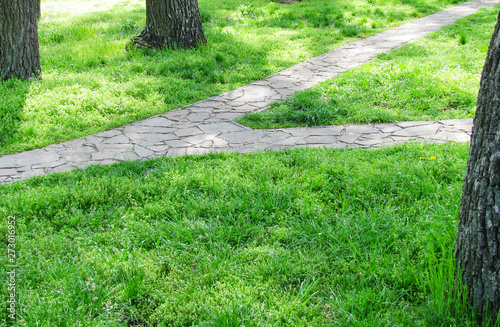 Stone pathway in a green park. Path through the landscape park in Ukraine. Two paths converge into one. Green grass along the path of love.