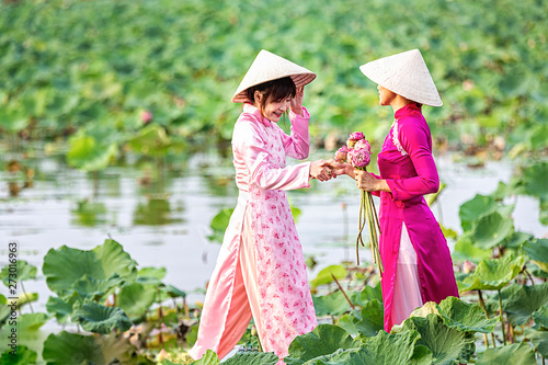 Water lilies on hand. Two Vietnamese woman on a wooden boat and collecting lotus flowers. Female boating on lakes harvest Pink Lotus flower. The flooding season there are many water lilies.
