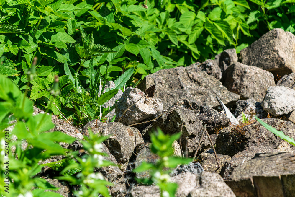stone brick tectured pattern in nature stone brick tectured pattern in nature