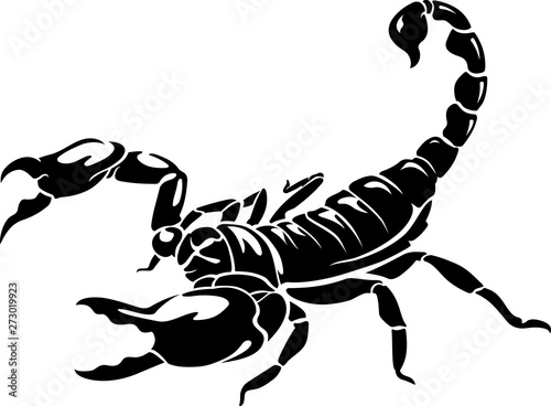 Scorpion, Isolated Silhouette