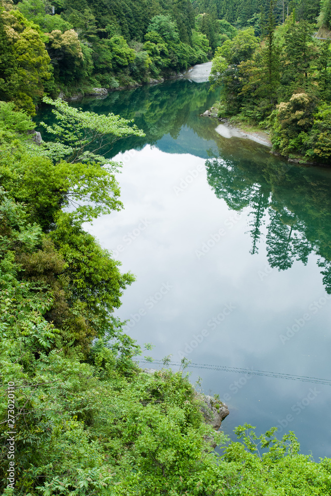 Φωτογραφία A river of Green Shikoku Island - 緑豊かな四国jの川