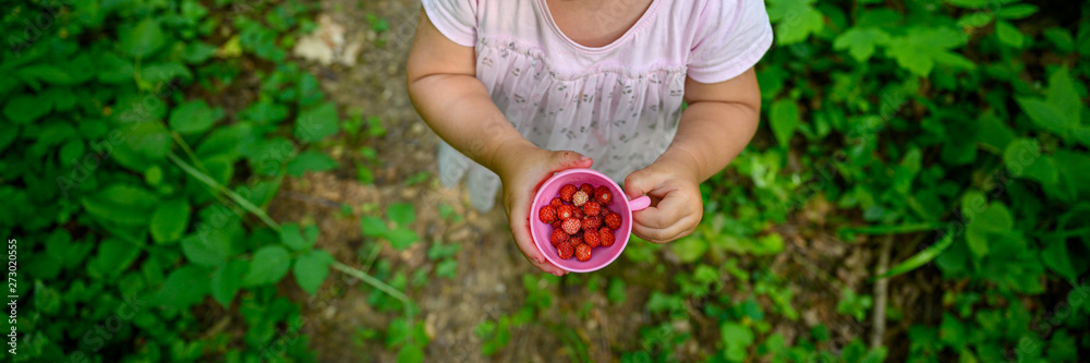 Toddler girl holding cup full of wild strawberries. Toddler girl holding cup full of wild strawberries.