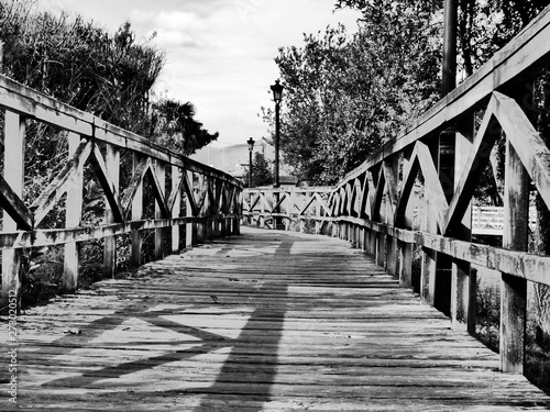 paisaje puente blanco y negro