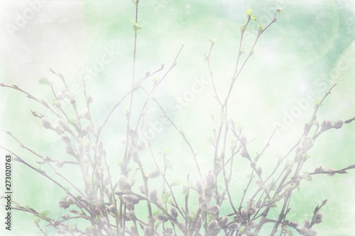 small branches with buds leaves   spring background  concept freshness botany youth