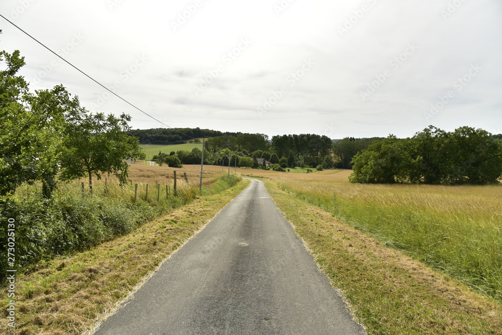 Route de campagne à contre-jour entre les bourgs de Champagne et Vendoire au Périgord Vert 