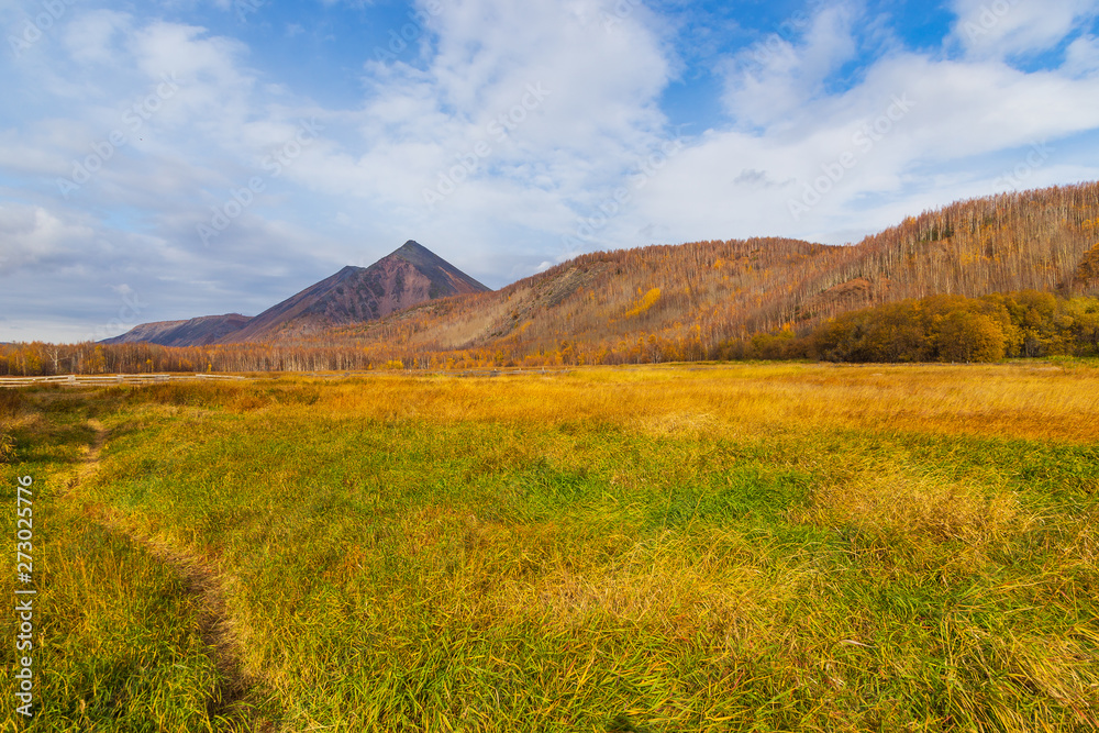 View of the mountain, forest in autumn , Kamchatka, Russia.