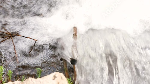 River rapids with foliage. Top view