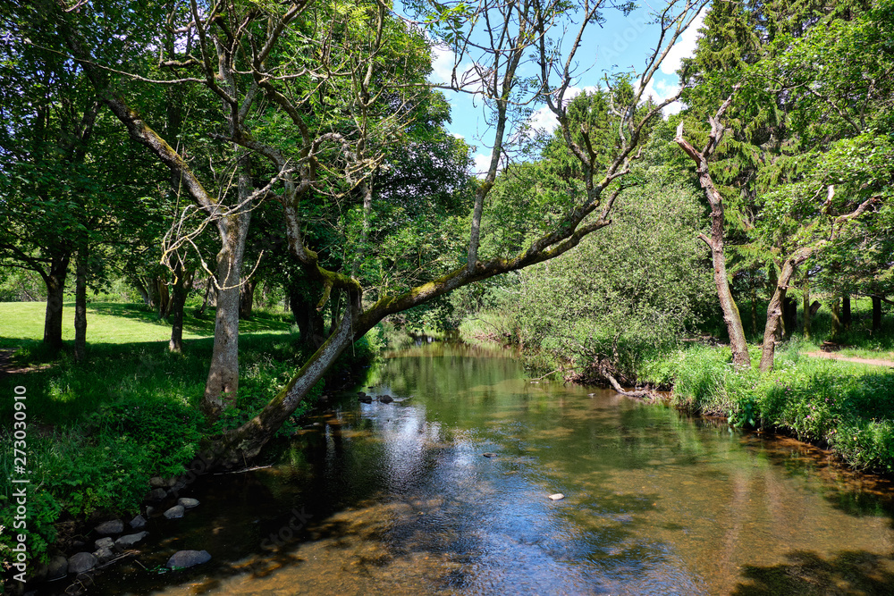 Scotlands Parks Lucious Greenery and a Gentle Flowing River with Reflections on the Water. Scotlands Parks Lucious Greenery and a Gentle Flowing River with Reflections on the Water.