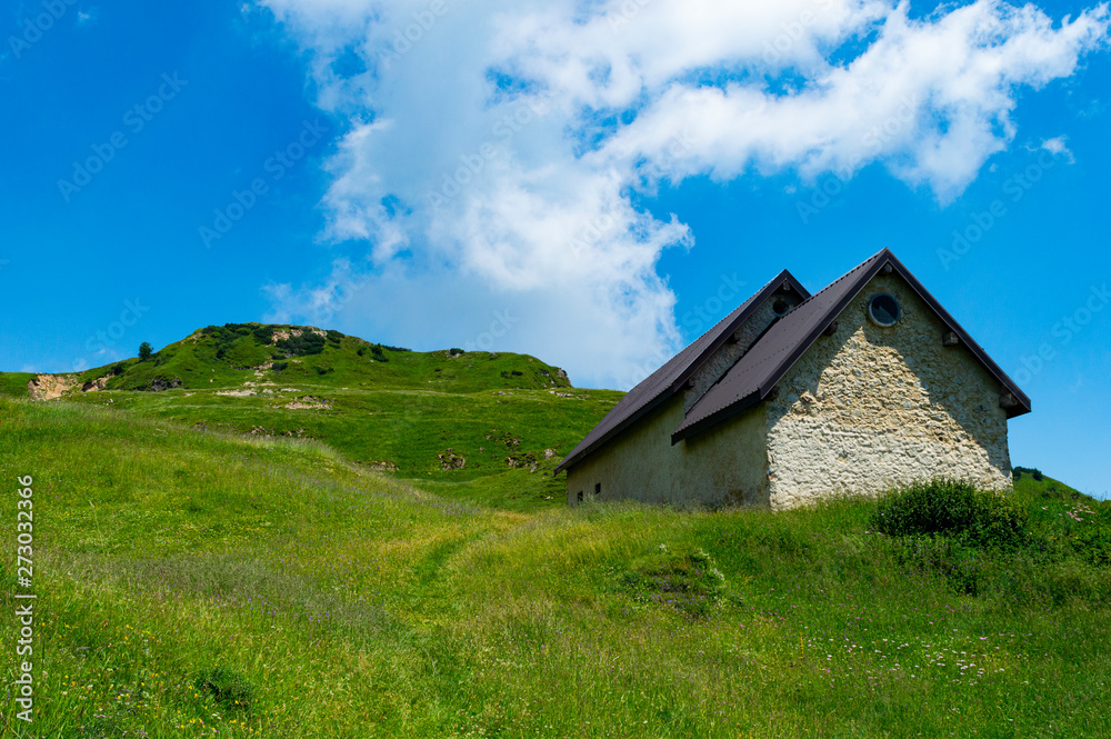 blue sky and green fields