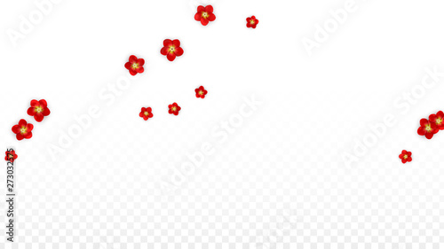 Vector Realistic Red Flowers Falling on Transparent Background.  Spring Romantic Flowers Illustration. Flying Asian Rose Spa Design. Blossom Confetti. Design Elements for Wedding Decoration.