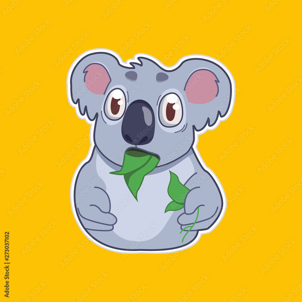 funny koala eats eucalyptus leaf
