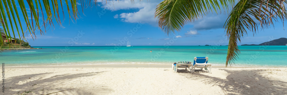 tropical beach with palm trees