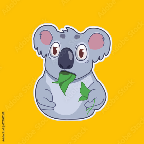 funny koala eats eucalyptus leaf