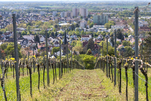 historic city bensheim in hesse germany with whine vineyards photo