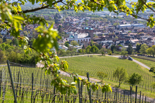 Photos historic city bensheim in hesse germany with whine vineyards