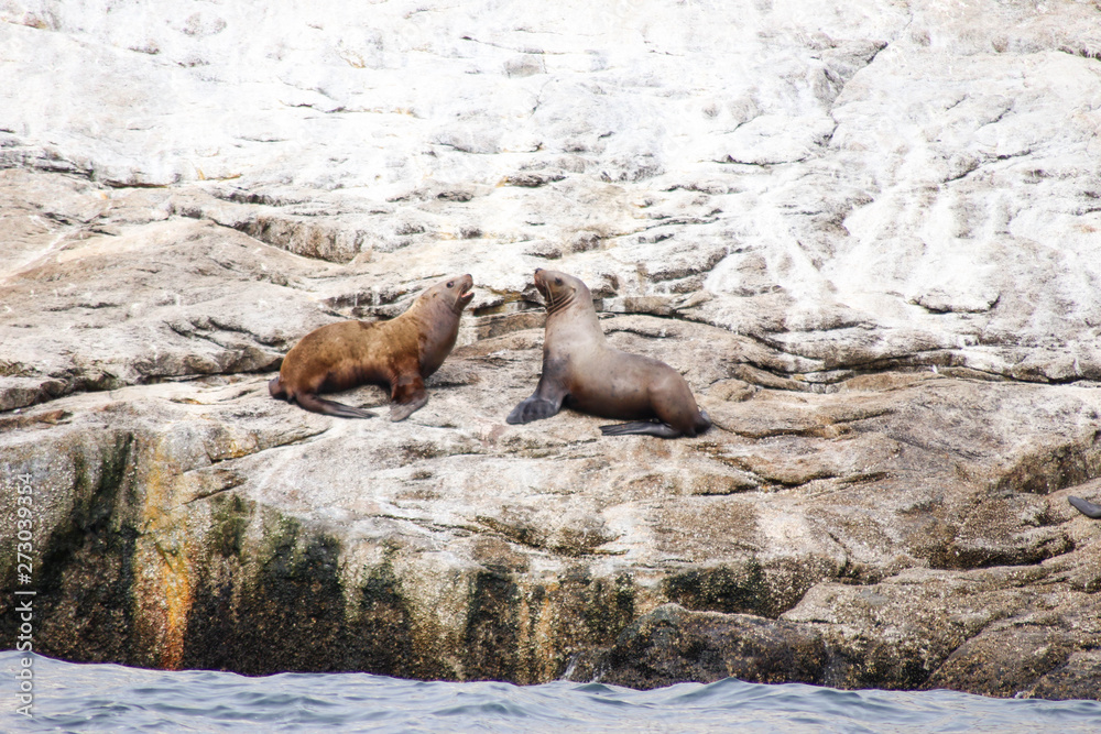Fototapeta premium Alaska