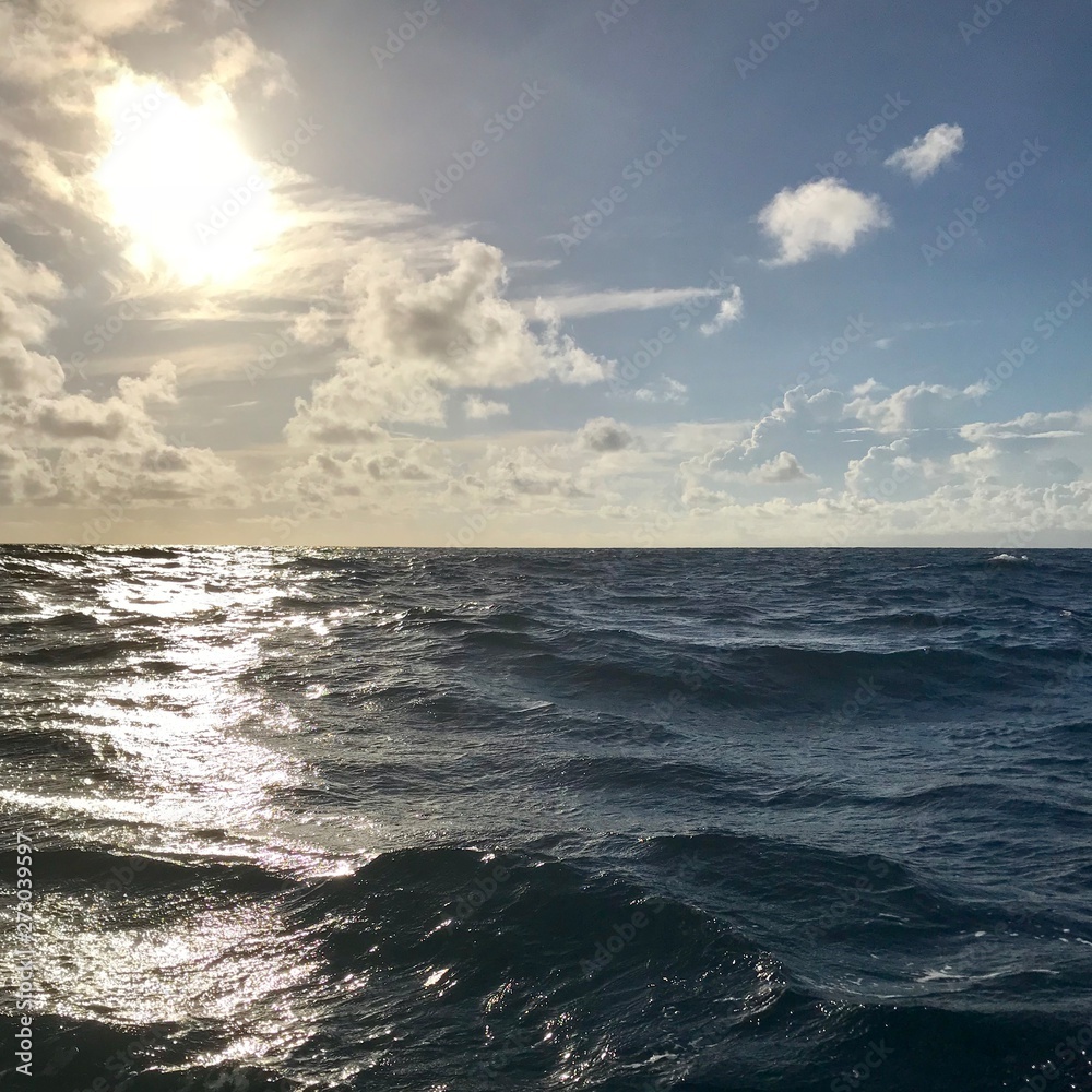 Fototapeta premium sea and blue sky