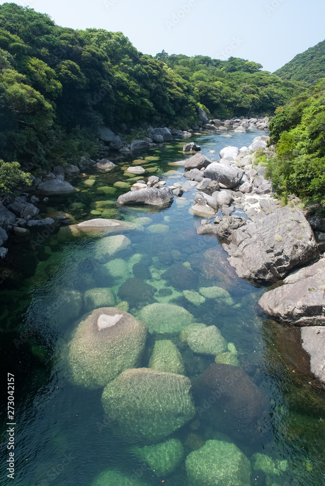 River in Yakushima Island - 屋久島の川