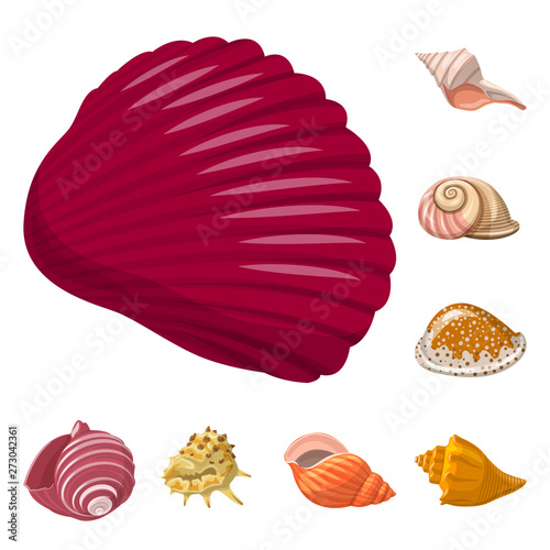 Vector design of seashell and mollusk sign. Set of seashell and seafood  stock symbol for web.