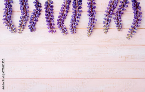 lupine on pastel pink wooden background