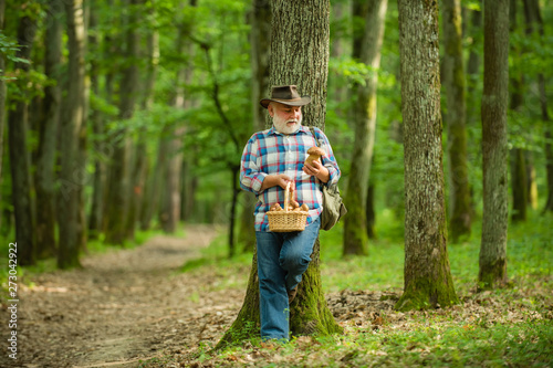 Old man walking. Grandpa Pensioner. Senior hiking in forest. Summer and hobbies. Old bearded mushroomer in summer forest. © Volodymyr