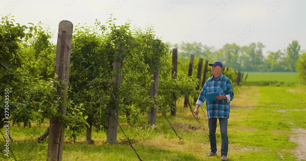 Male researcher looking at trees while writing on clipboard