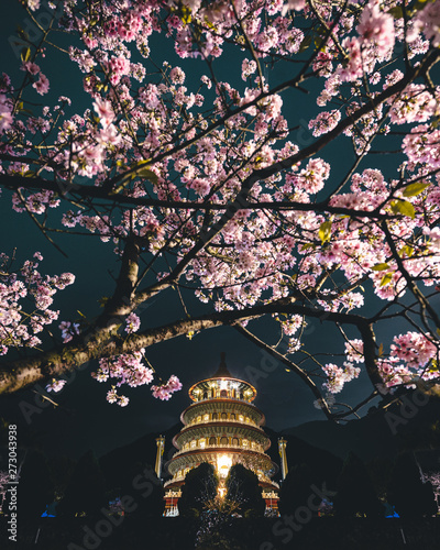 Taipei Spring