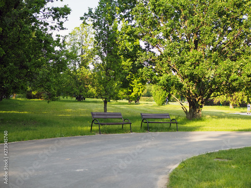 Empty bench in a park on summer. The trees are out of focus