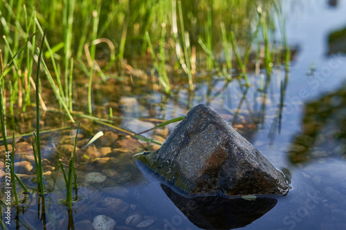 Kamień w sadzawce © Piotr