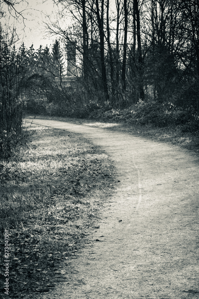 Obraz premium scenic empty pathway leading through forest