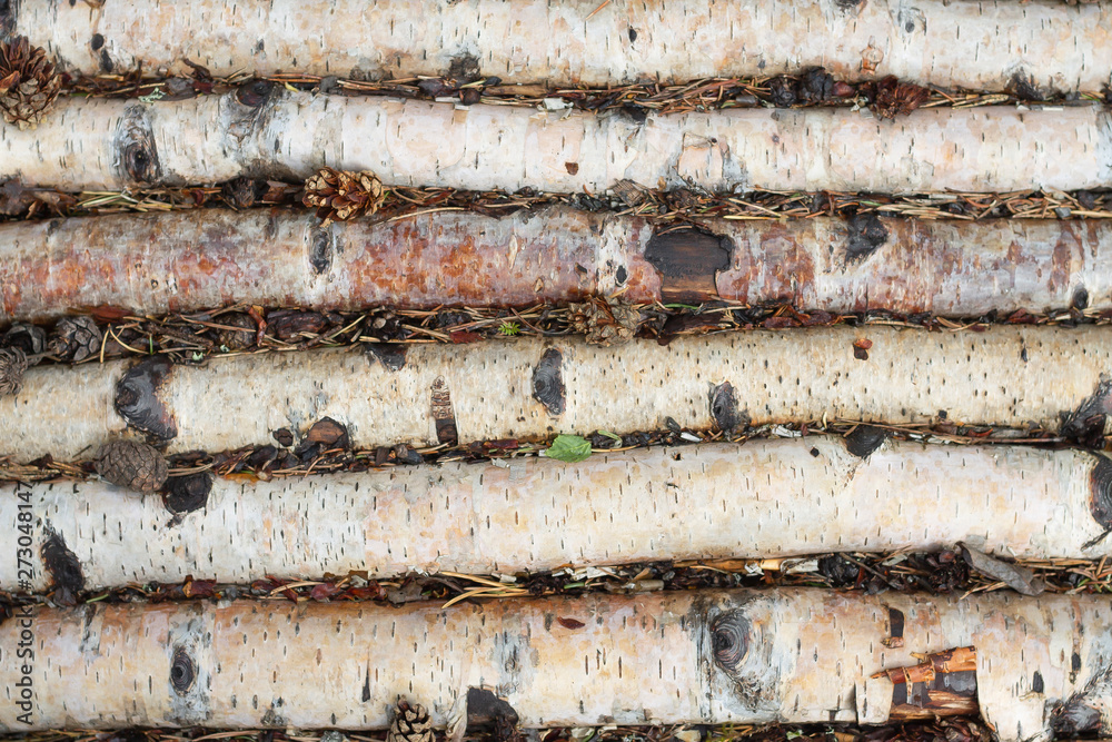 Densely laid out birch logs lie on the earth. Densely laid out birch logs lie on the earth.