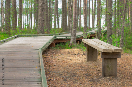 Walking path and bench in the forest for rest. The wooden path conducting on the coast of the lake.
